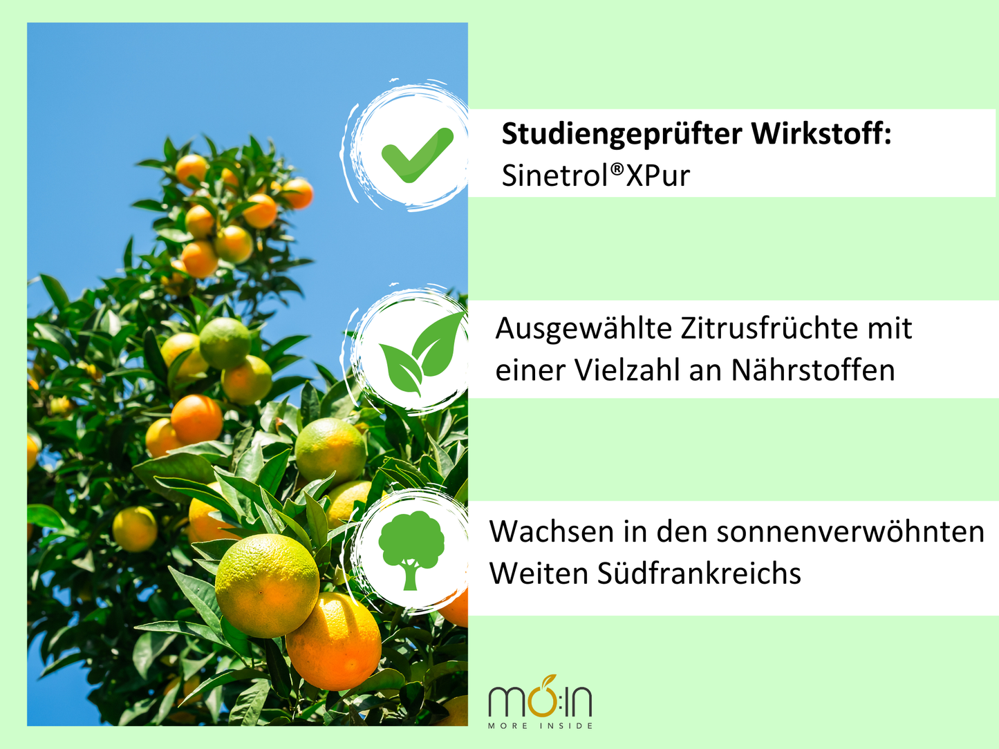 LEANFECT - für den Fettstoffwechsel