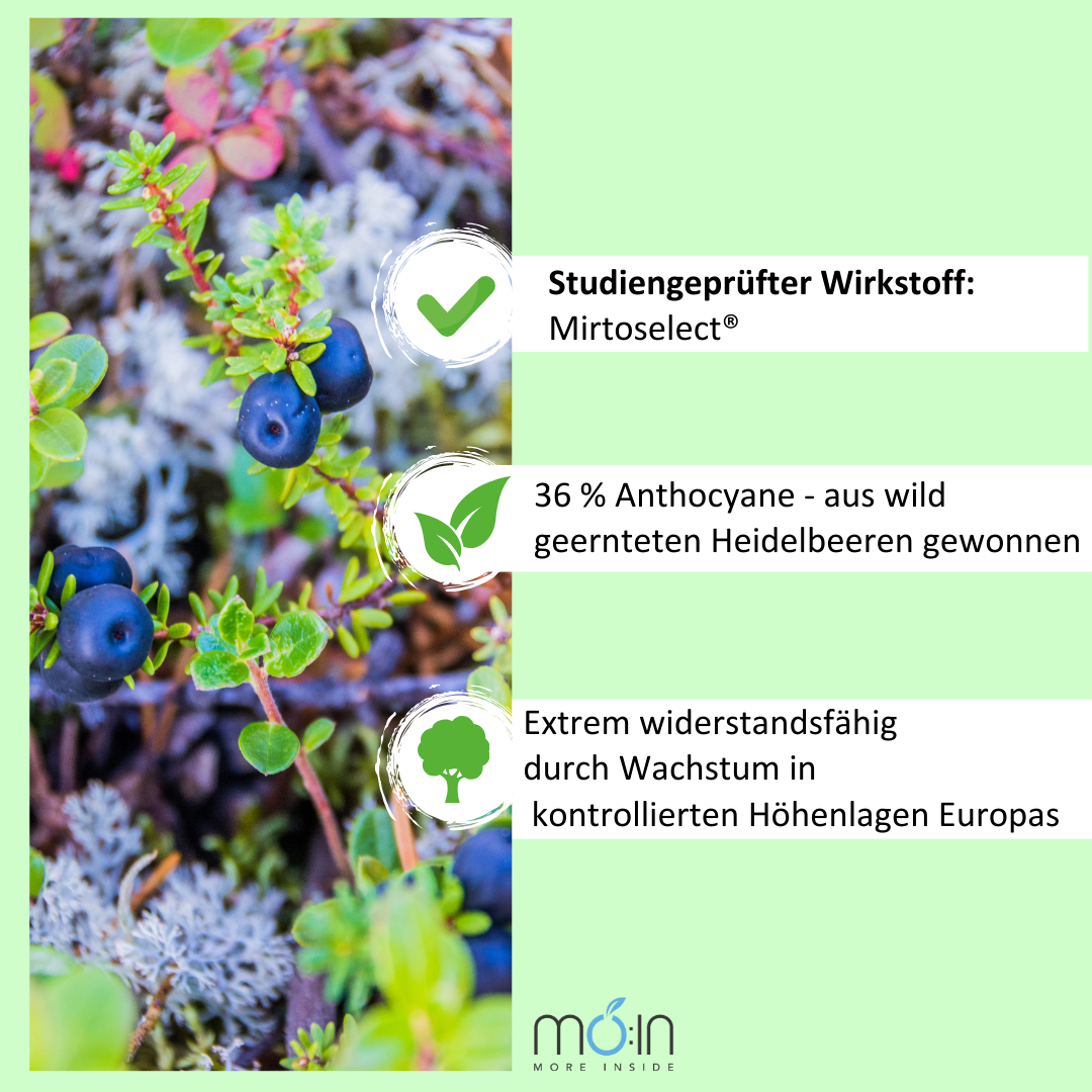 VISIOFECT - für klare Sicht